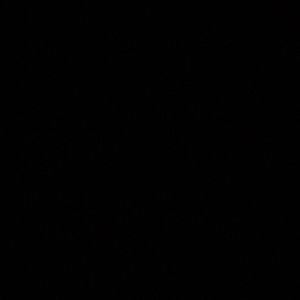 Meet your Posher, Cheyann